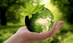 10 Easy Ways to Be More Eco Friendly