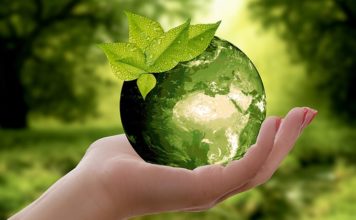 10 Easy Ways to Be More Eco Friendly