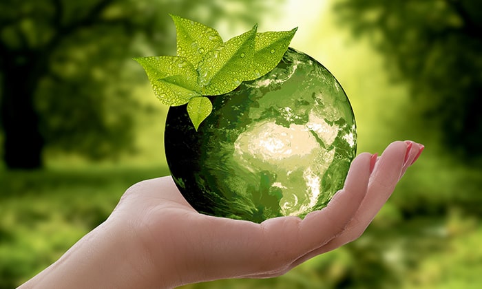 10-easy-ways-to-be-more-eco-friendly 10 Easy Ways to Be More Eco Friendly