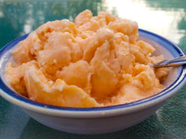 Simple Cantaloupe Melon Ice Cream (Dairy-Free!)
