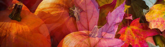 Autumn Pumpkins and Leaves