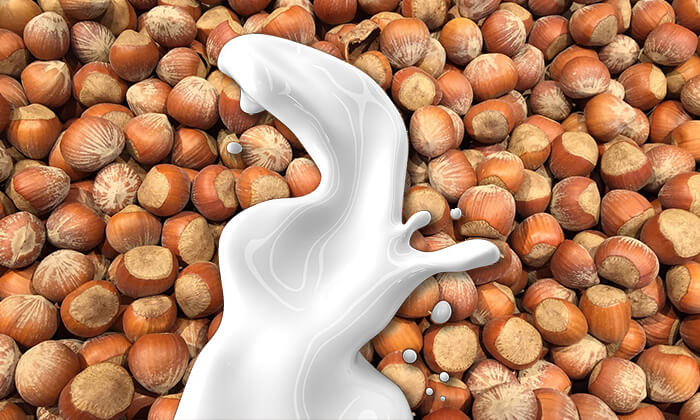 Hazel nuts with a splash of plant-based milk