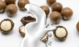 Macadamia nuts with a splash of plant-based milk