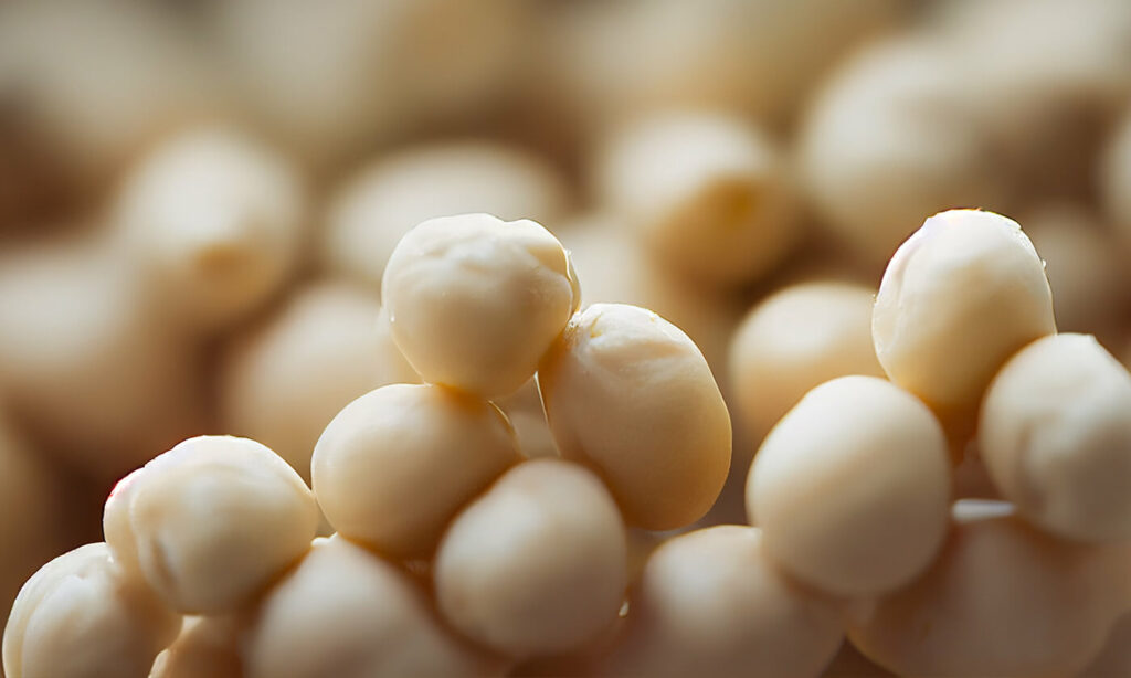 chickpea-health-beauty-uses Rinsed Chickpeas