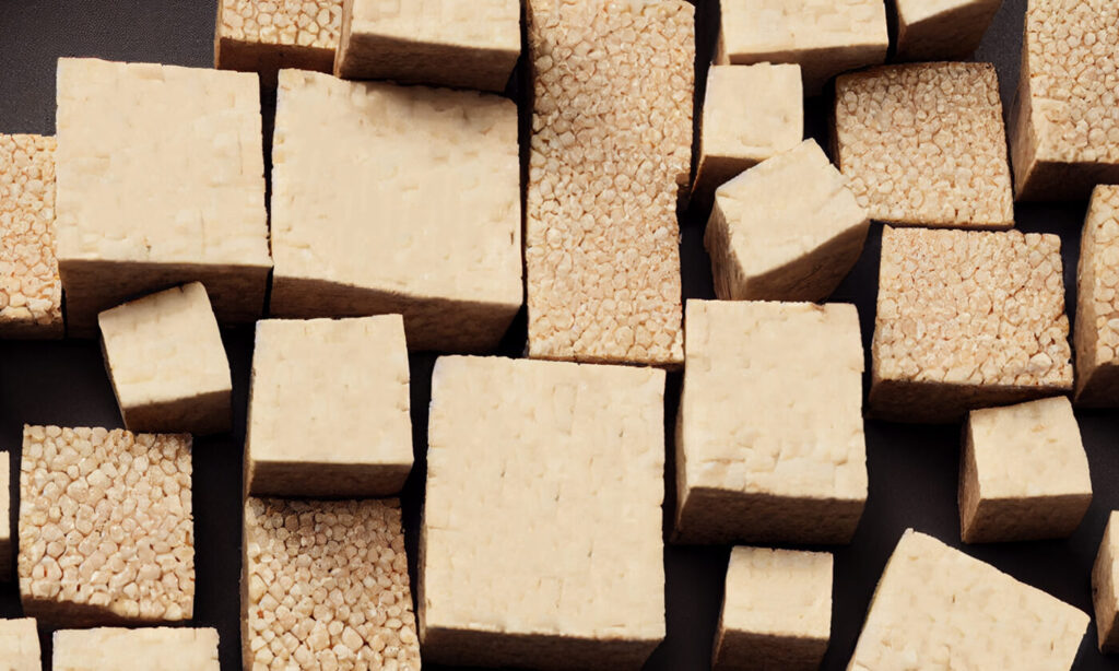 Blocks of tofu and tempeh