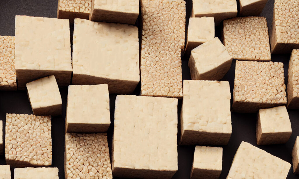 tofu-vs-tempeh Blocks of tofu and tempeh