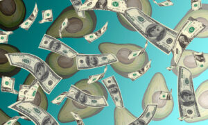 Money and avocados